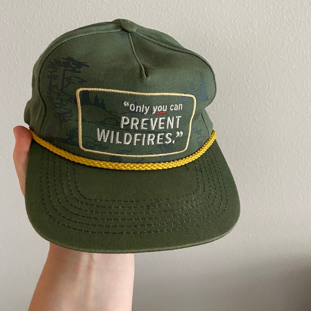 Smokey the bear hat. Only you can prevent wildfires.